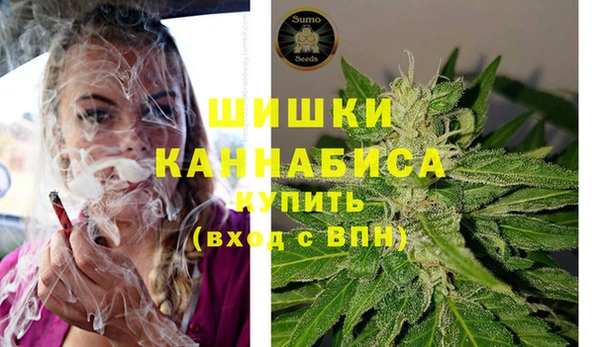 spice Кинешма