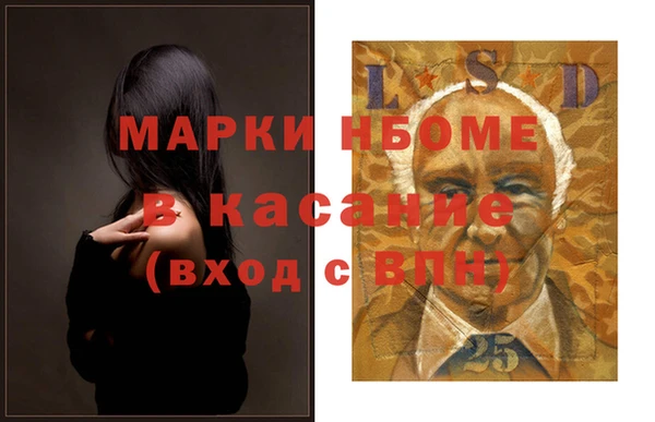 твердый Козельск