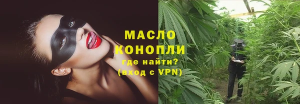 твердый Козельск