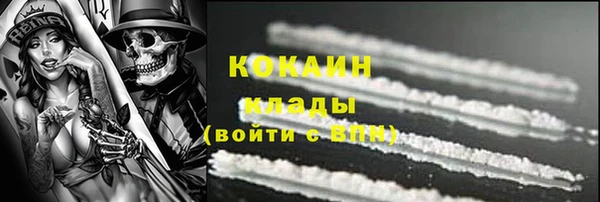 шишки Козловка