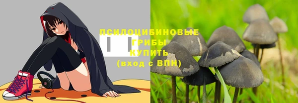 шишки Козловка