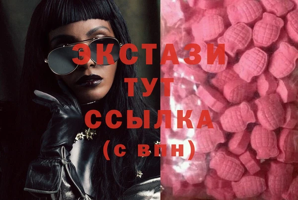 твердый Козельск