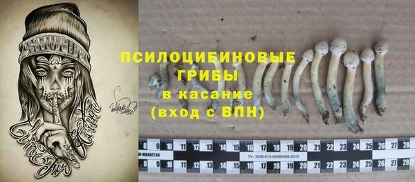 твердый Козельск