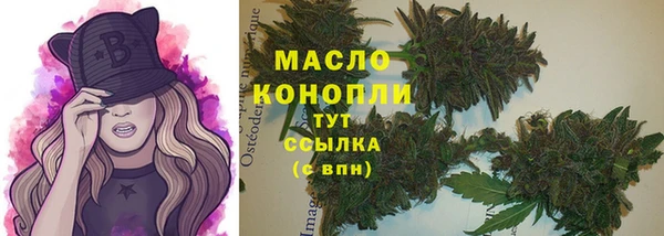 твердый Козельск