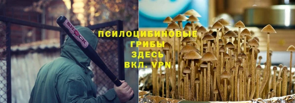 шишки Козловка