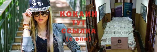 твердый Козельск