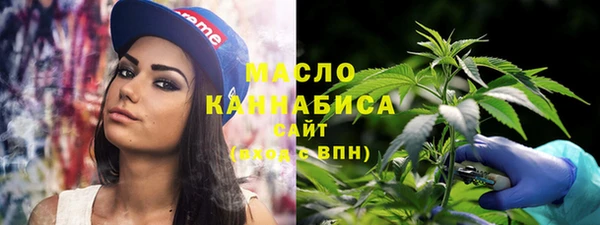 твердый Козельск