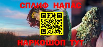 spice Гатчина