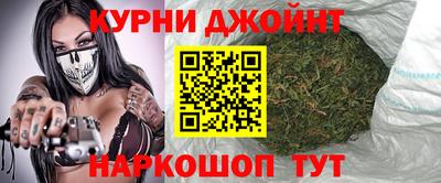 spice Гатчина