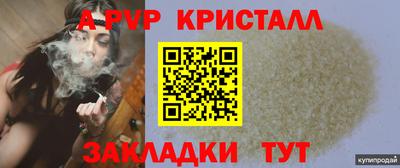 spice Гатчина