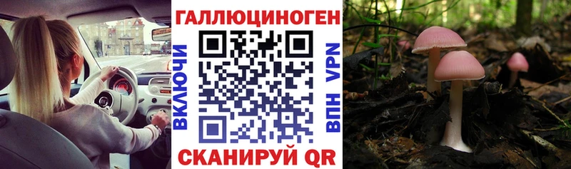 Псилоцибиновые грибы Psilocybine cubensis  продажа наркотиков  Волжский 