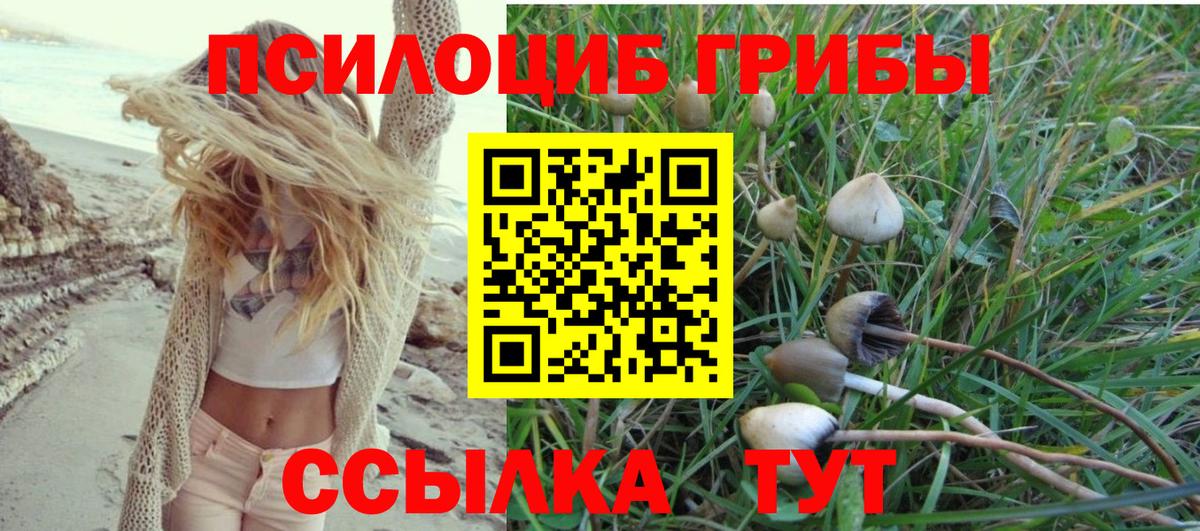 Галлюциногенные грибы Cubensis  Волжский 